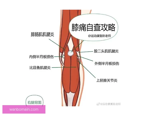 24岁后5次腿筋拉伤恢复周期3到6周 专家预测能及时回归 24岁后5次腿筋拉伤恢复周期3到6周 专家预测能及时回归